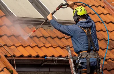 Démoussage et hydrofuge de toiture à Viserny